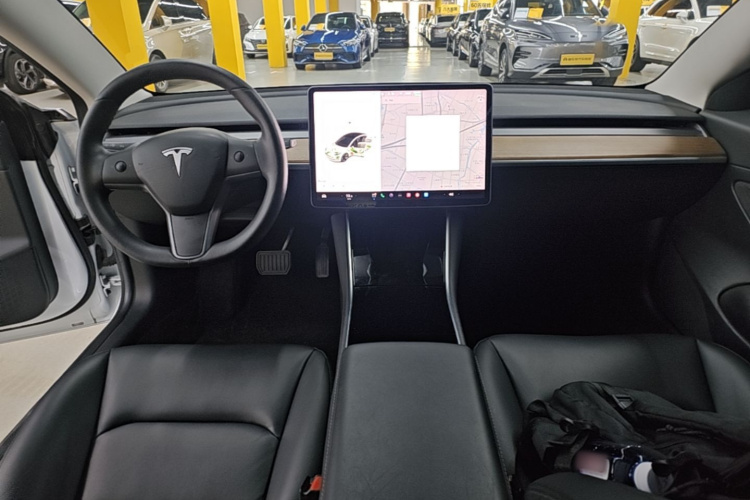 Tesla Model 3 2020 car image #10