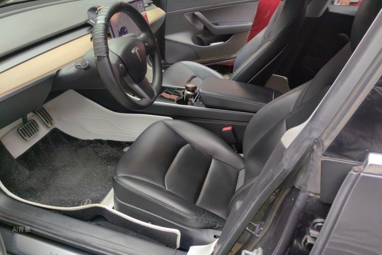 Tesla Model 3 2019 car image #17