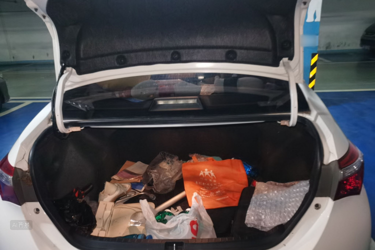 Toyota Corolla 2016 car image #21