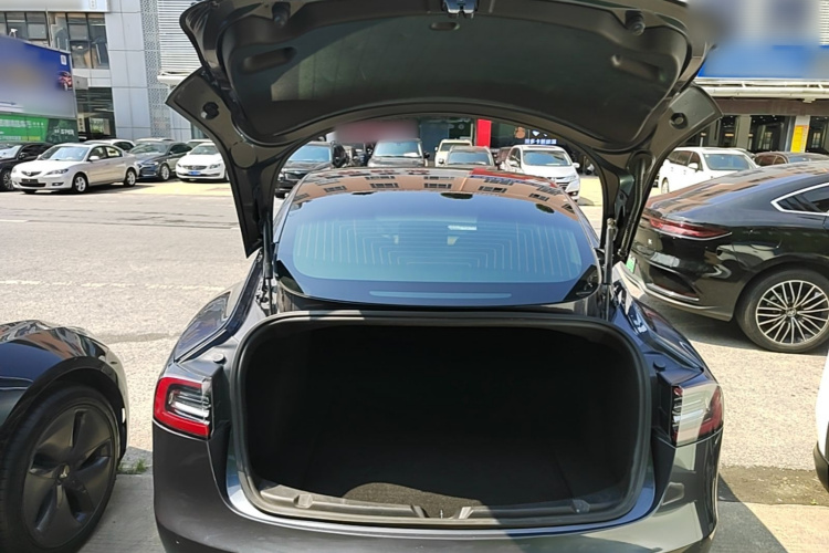 Tesla Model 3 2020 #19 Tesla Model 3 2020 car image #19