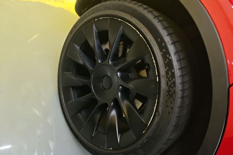 Tesla Model Y 2023 #10 Tesla Model Y 2023 car image #10