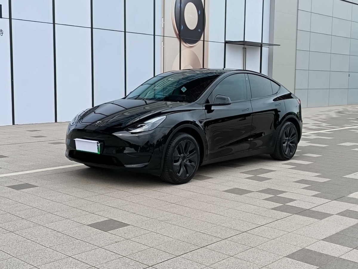 Tesla Model Y 2024 car image 