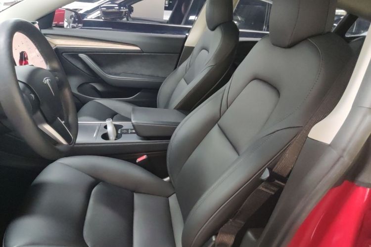 Tesla Model 3 2020 car image #19