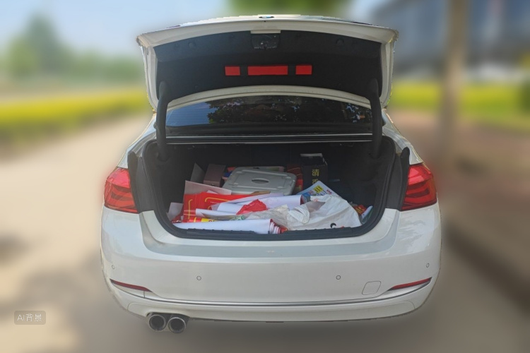 BMW 3 Series 2018 car image #21