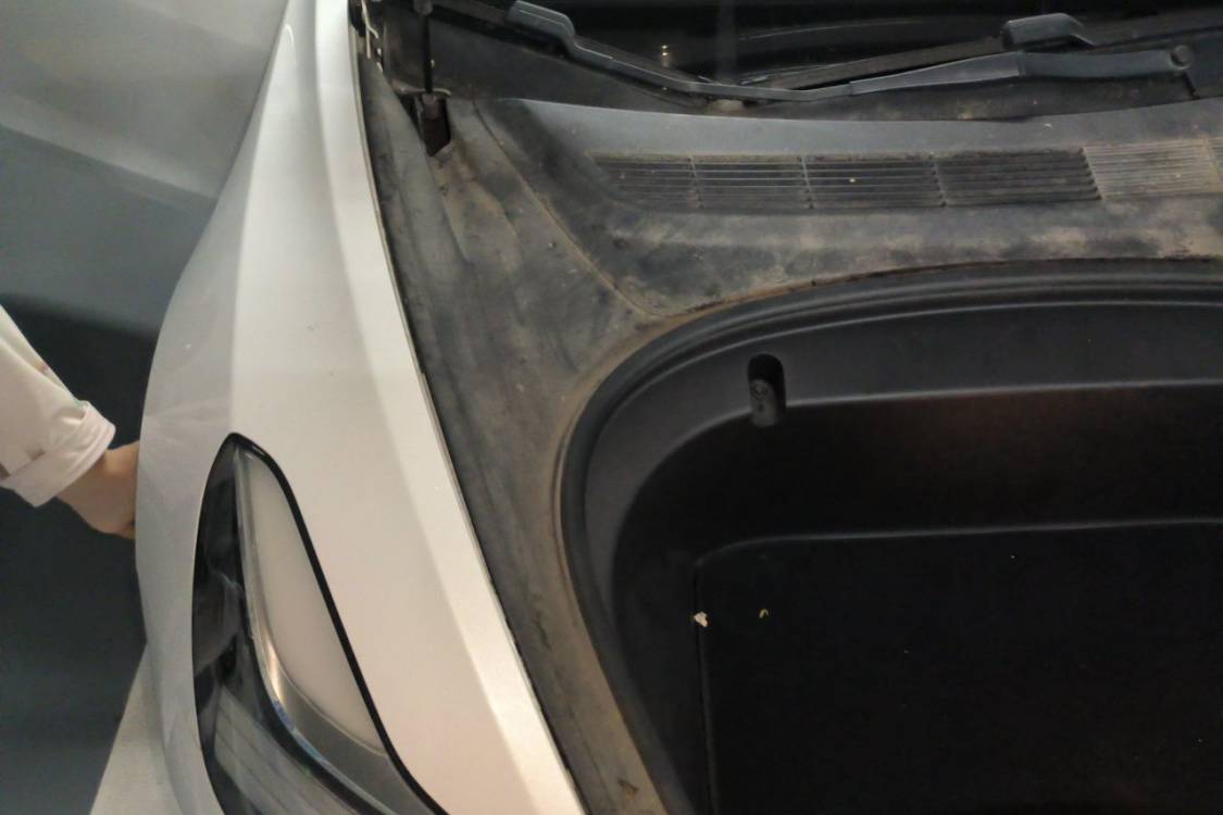 Tesla Model 3 2020 #11 Tesla Model 3 2020 car image #11
