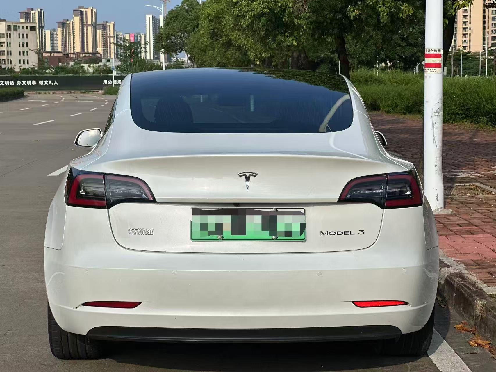 Tesla Model 3 2020 car image #9