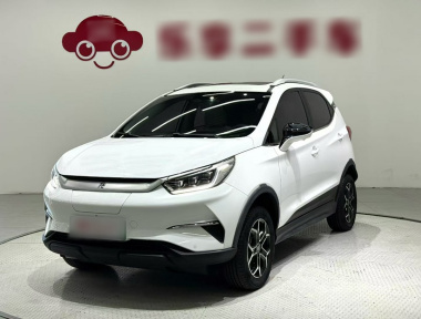 BYD Yuan Pro 2021 car image 
