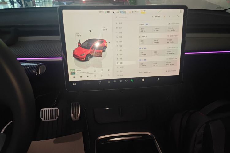 Tesla Model Y 2024 car image #13