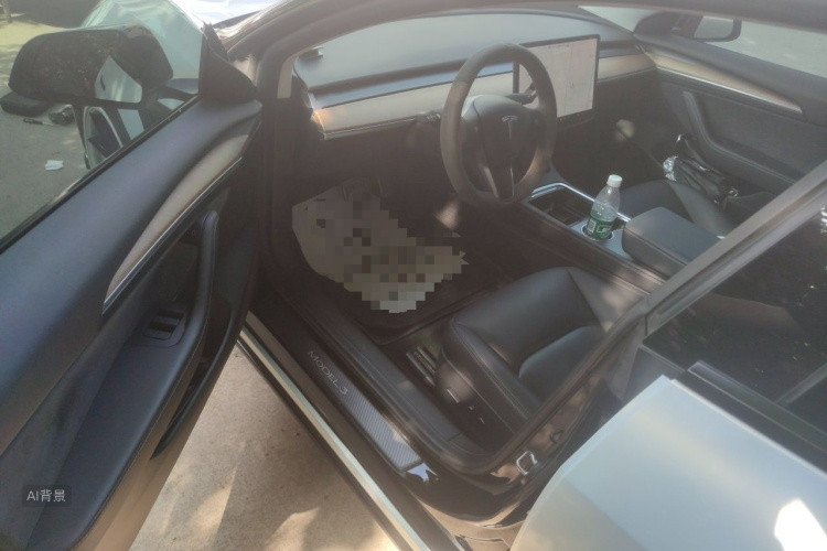 Tesla Model 3 2021 car image #18