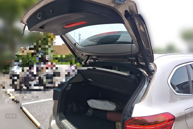 BMW X1 2017 car image #21