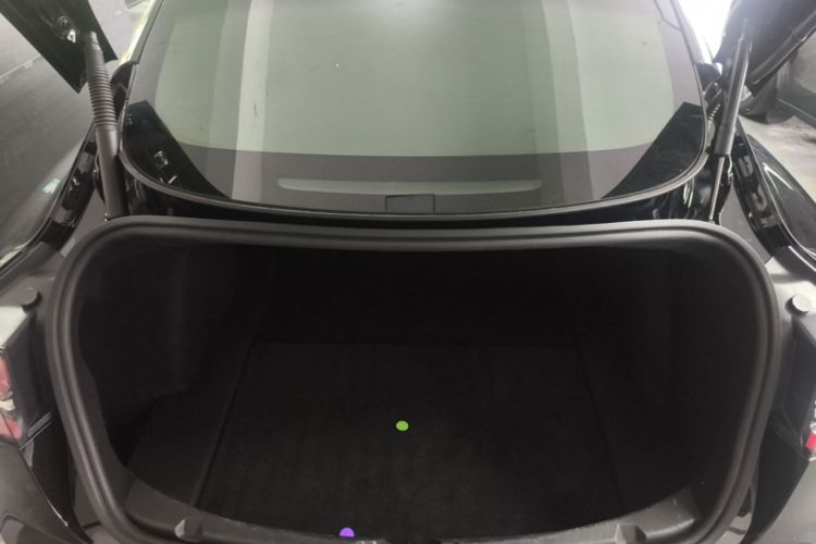 Tesla Model 3 2021 car image #19