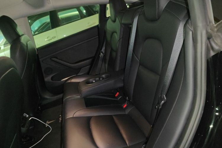 Tesla Model 3 2022 car image #14