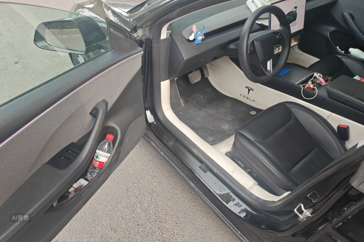 Tesla Model 3 2023 car image #18