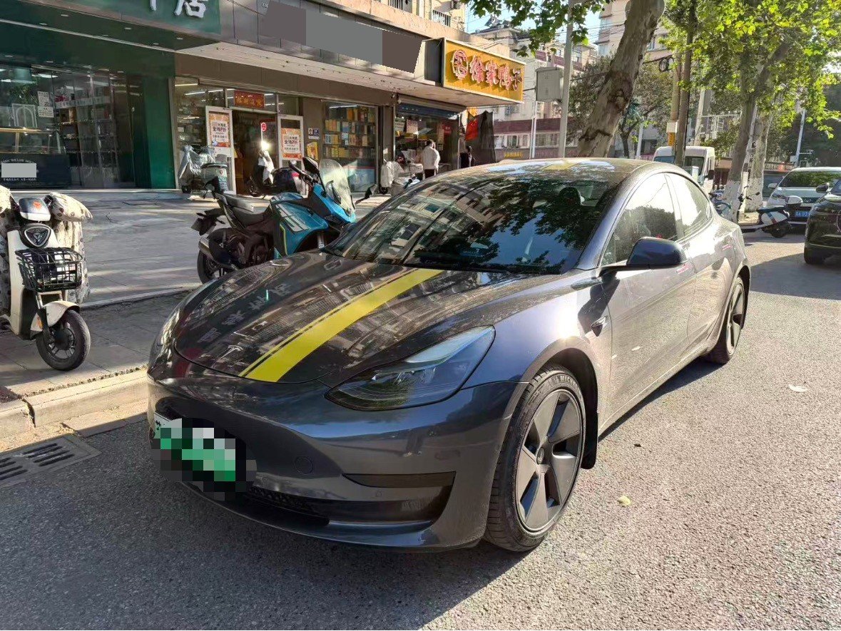 Tesla Model 3 2022 car image 