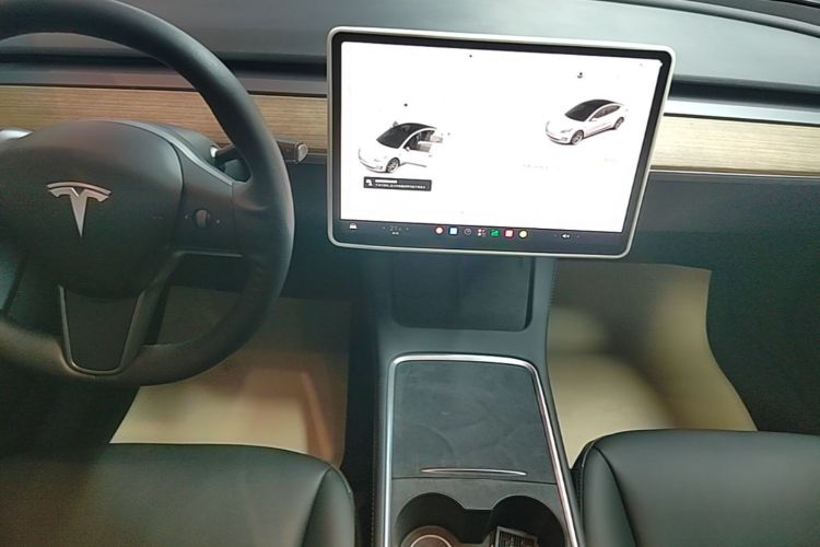 Tesla Model 3 2021 #17 Tesla Model 3 2021 immagine di auto #17