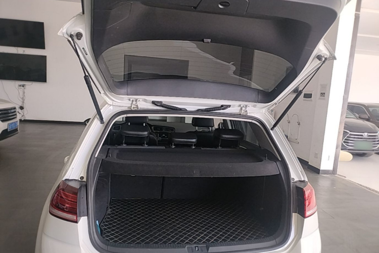 Volkswagen Golf 2018 car image #19