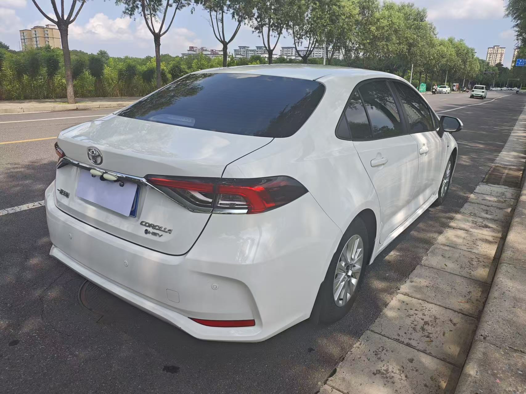 Toyota Corolla 2024 #7 Toyota Corolla 2024 car image #7