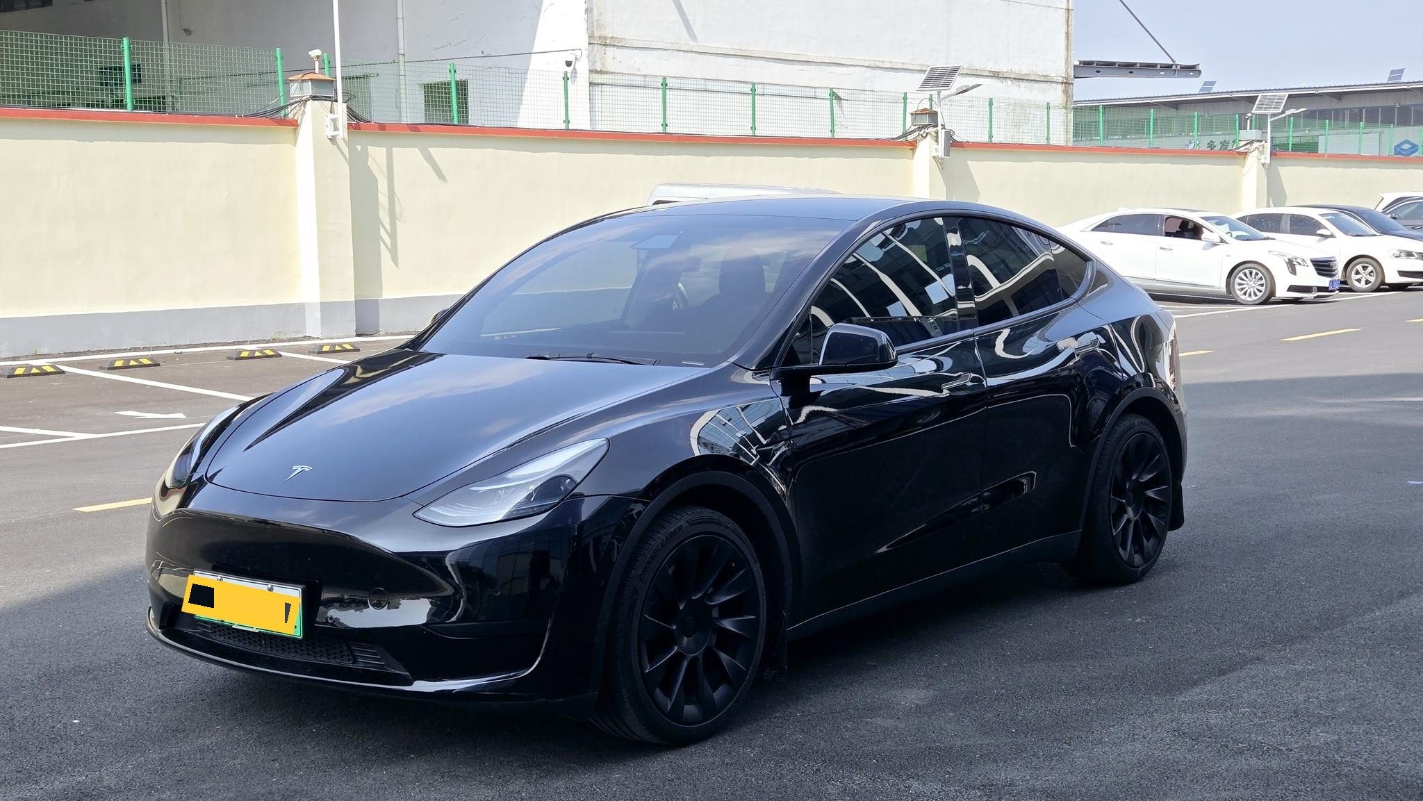 Tesla Model Y 2021 car image 