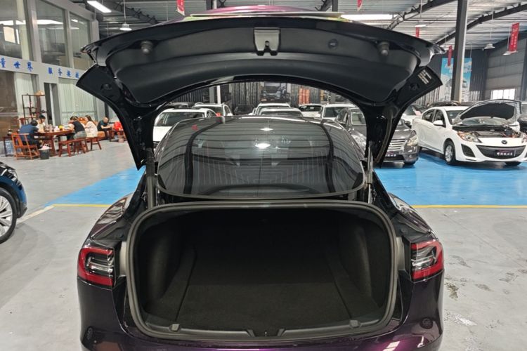 Tesla Model 3 2021 #19 Tesla Model 3 2021 car image #19