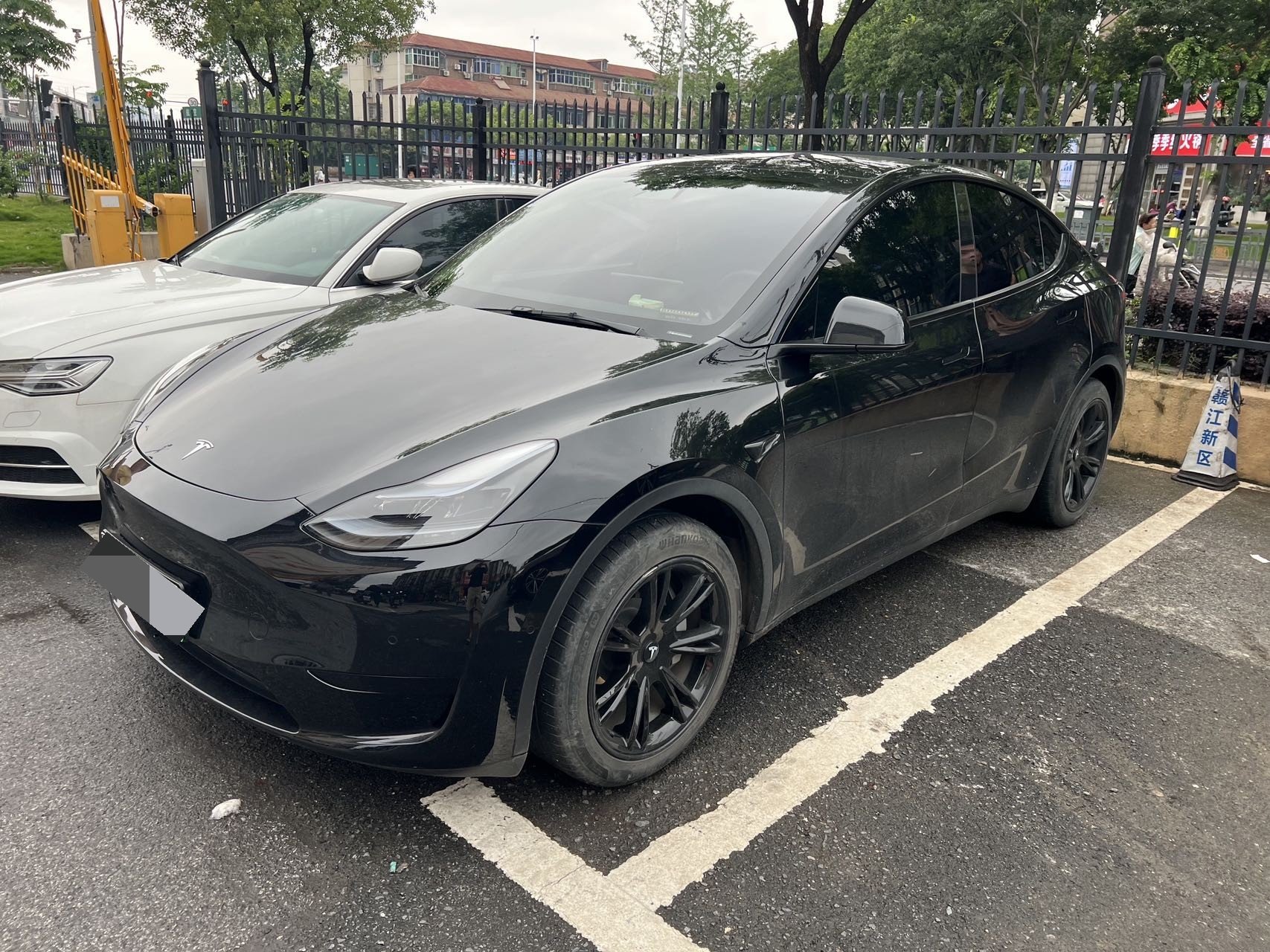 Tesla Model Y 2022 car image 