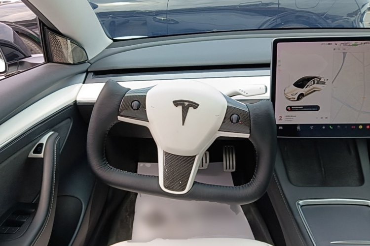 Tesla Model 3 2021 #11 Tesla Model 3 2021 car image #11