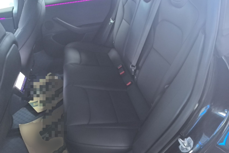Tesla Model 3 2025 car image #17