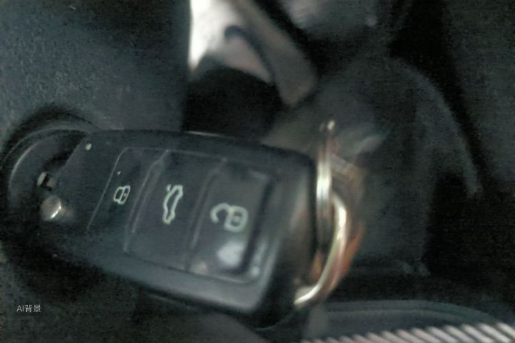 Volkswagen Santana 2020 car image #10
