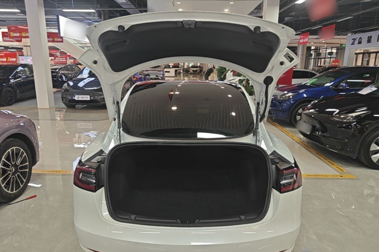 Tesla Model 3 2020 #19 Tesla Model 3 2020 car image #19
