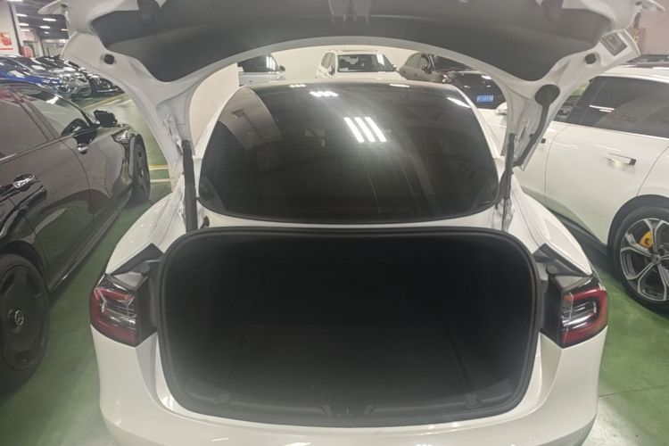 Tesla Model 3 2021 car image #19