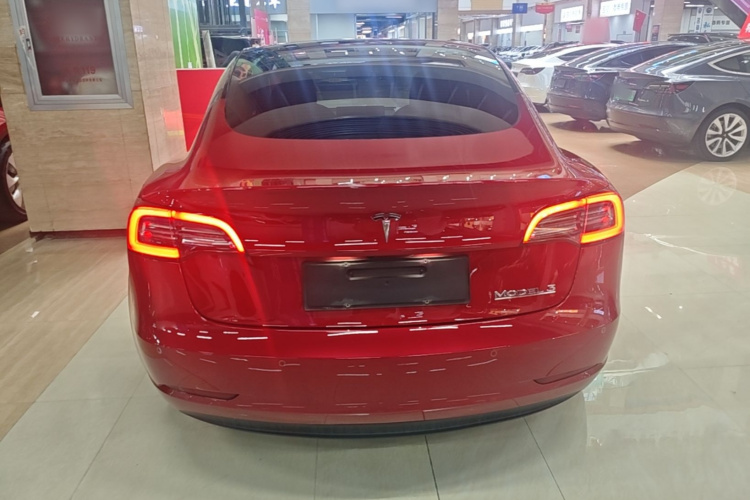 Tesla Model 3 2021 #4 Tesla Model 3 2021 immagine di auto #4