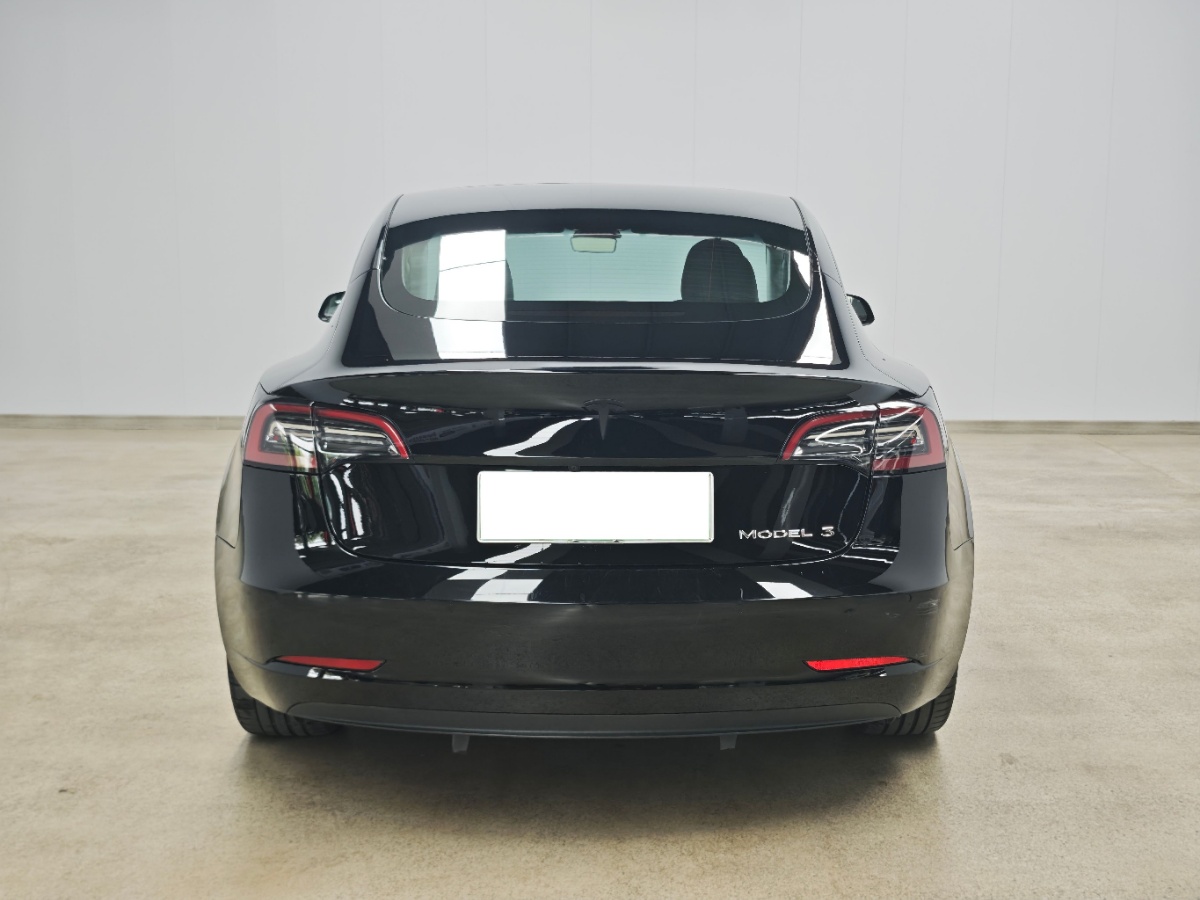 Tesla Model 3 2021 #5 Tesla Model 3 2021 car image #5