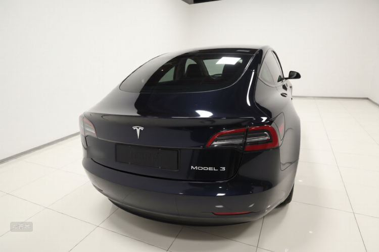 Tesla Model 3 2023 immagine di auto #6