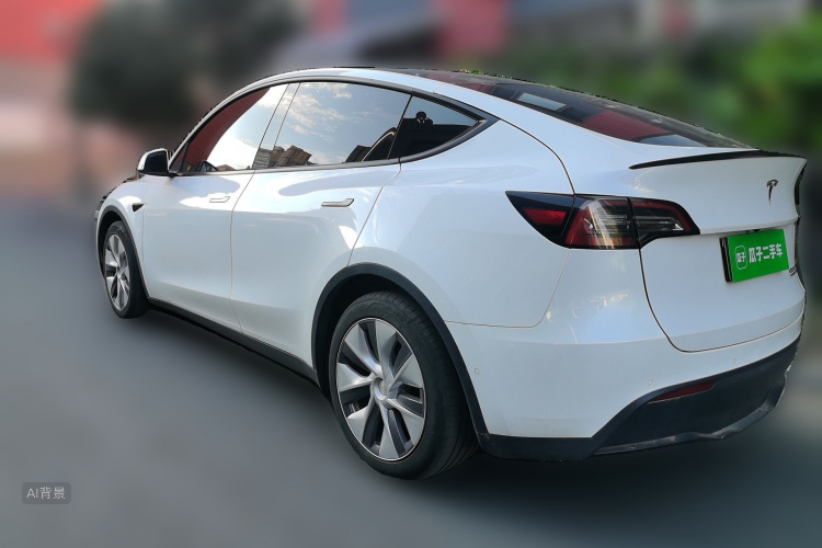 Tesla Model Y 2021 car image #5