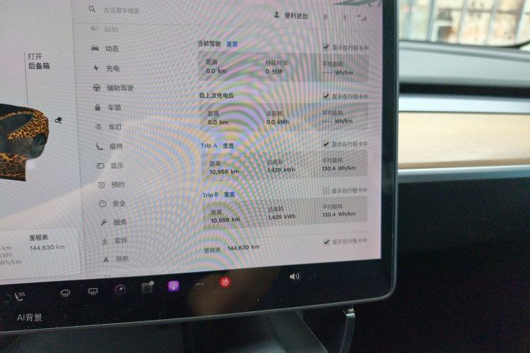 Tesla Model 3 2021 car image #13