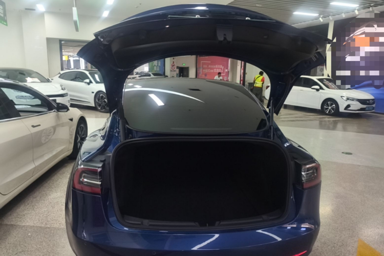 Tesla Model 3 2021 car image #19