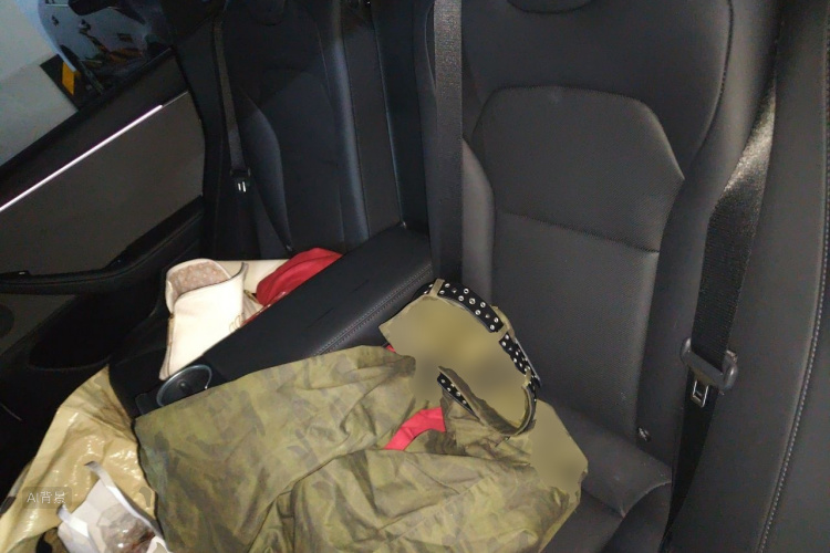 Tesla Model 3 2026 car image #19