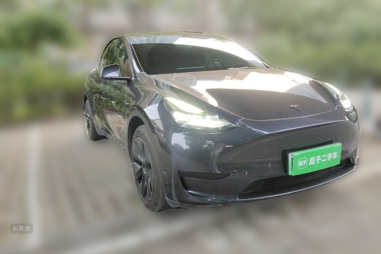 Tesla Model Y 2024 car image #4