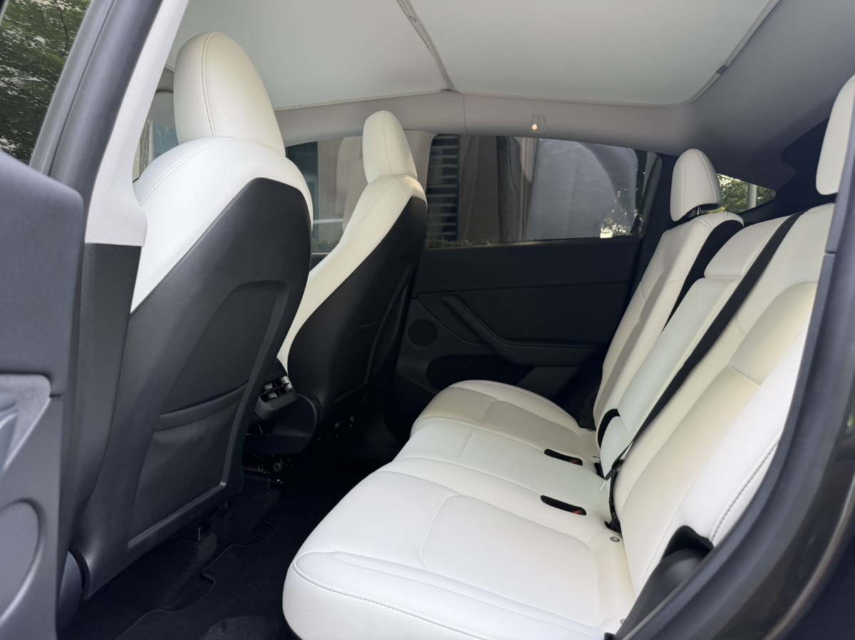 Tesla Model Y 2024 car image #6