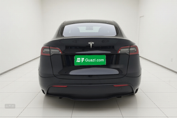 Tesla Model Y 2022 car image #6