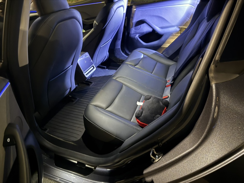 Tesla Model 3 2024 #3 Tesla Model 3 2024 car image #3