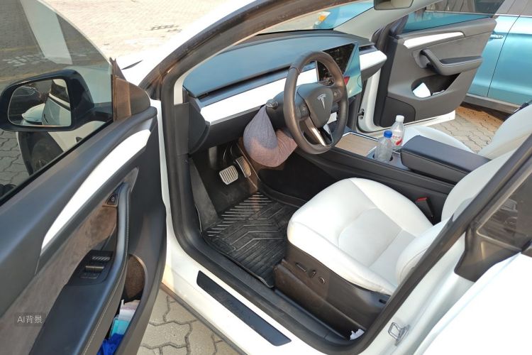 Tesla Model Y 2021 car image #18