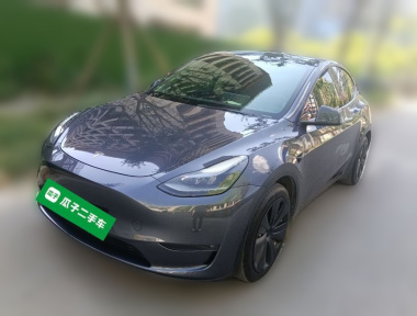 Tesla Model Y 2021 Tesla Model Y 2021 صورة سيارة