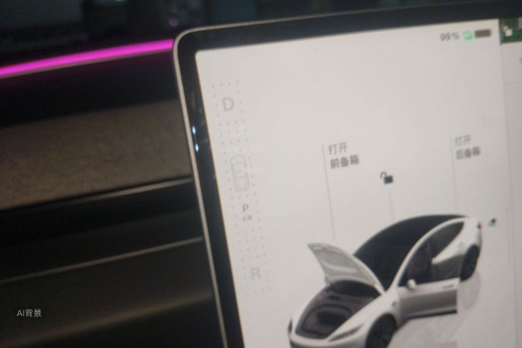 Tesla Model 3 2023 car image #16