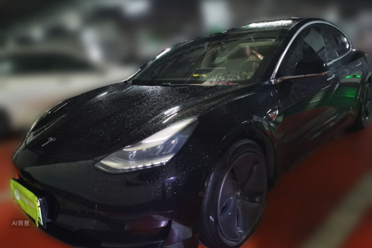 Tesla Model 3 2020 car image #3