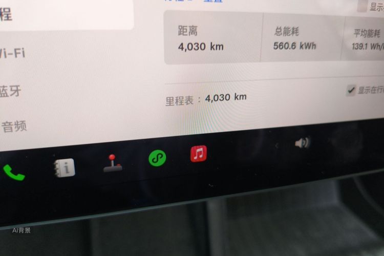 Tesla Model 3 2025 car image #14