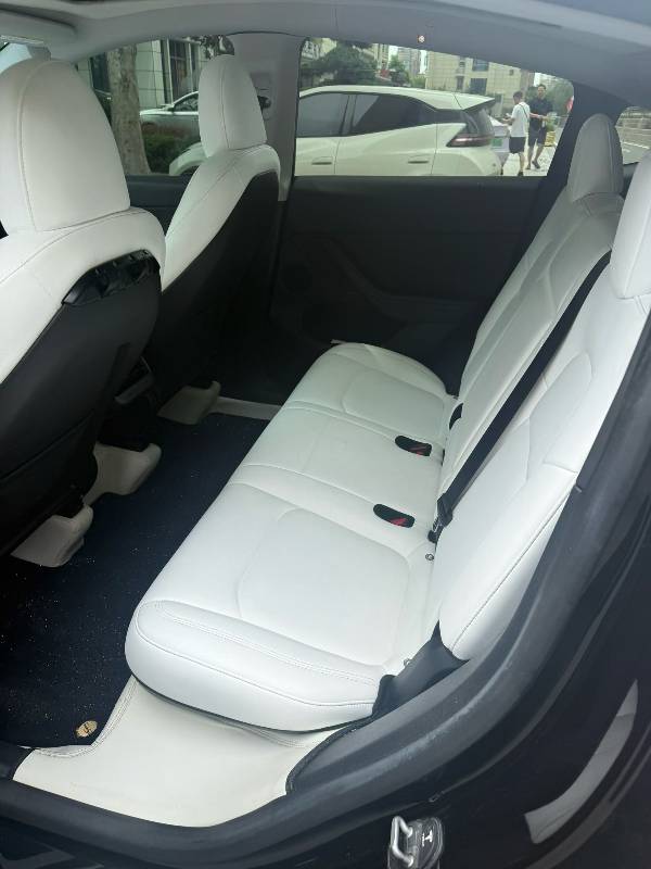 Tesla Model Y 2023 #3 Tesla Model Y 2023 car image #3