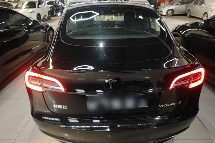 Tesla Model 3 2023 #6 Tesla Model 3 2023 car image #6