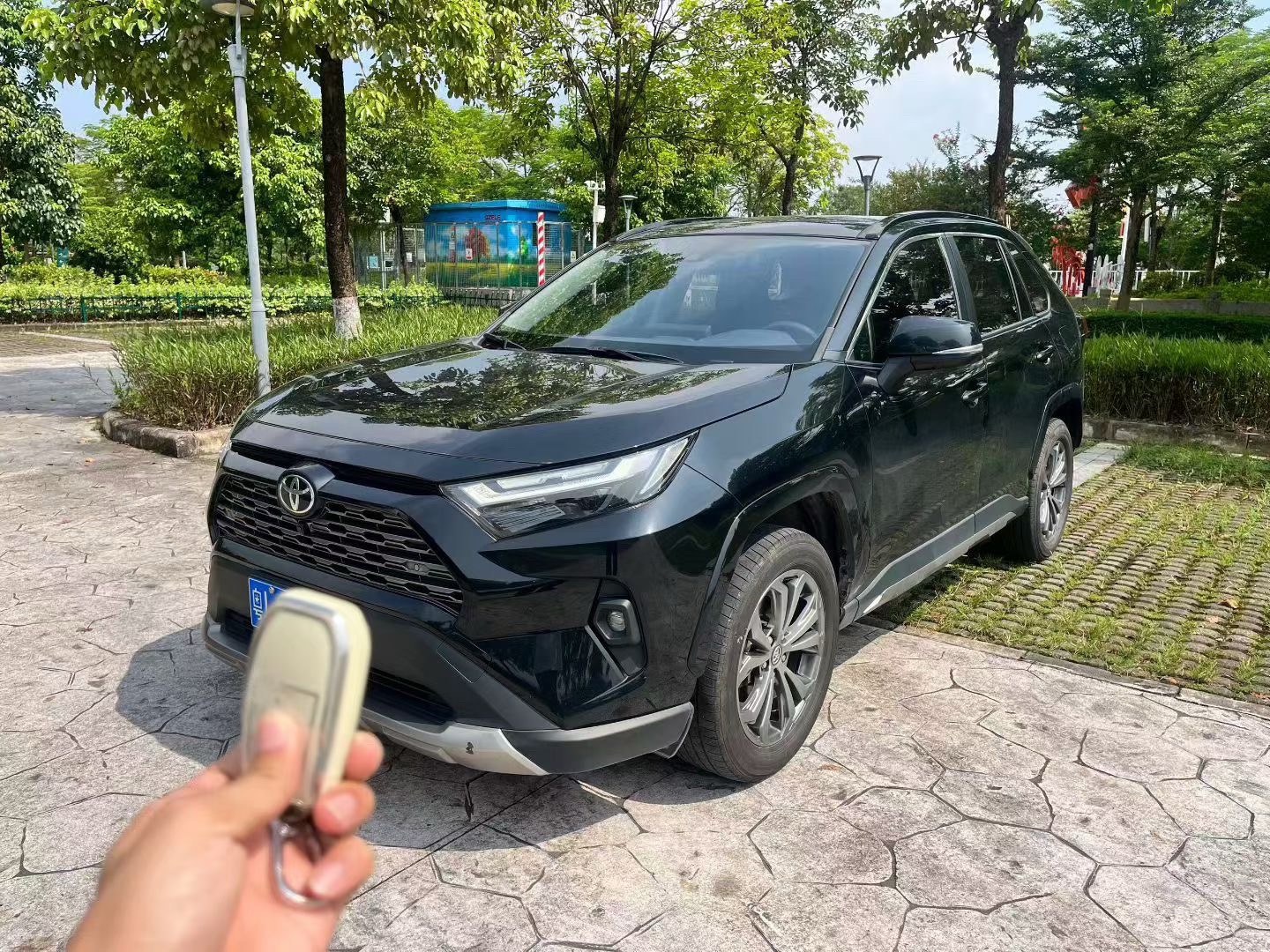 Toyota RAV4 2024 car image 