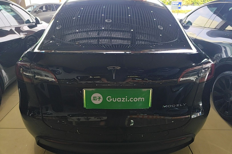 Tesla Model Y 2021 car image #4