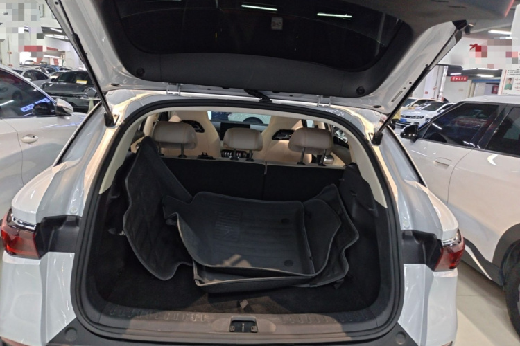 BYD Yuan Plus 2023 car image #19